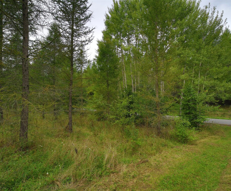 Dzialka - 3
