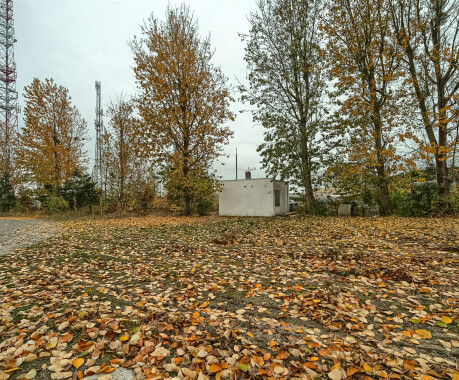 Lokal - 2