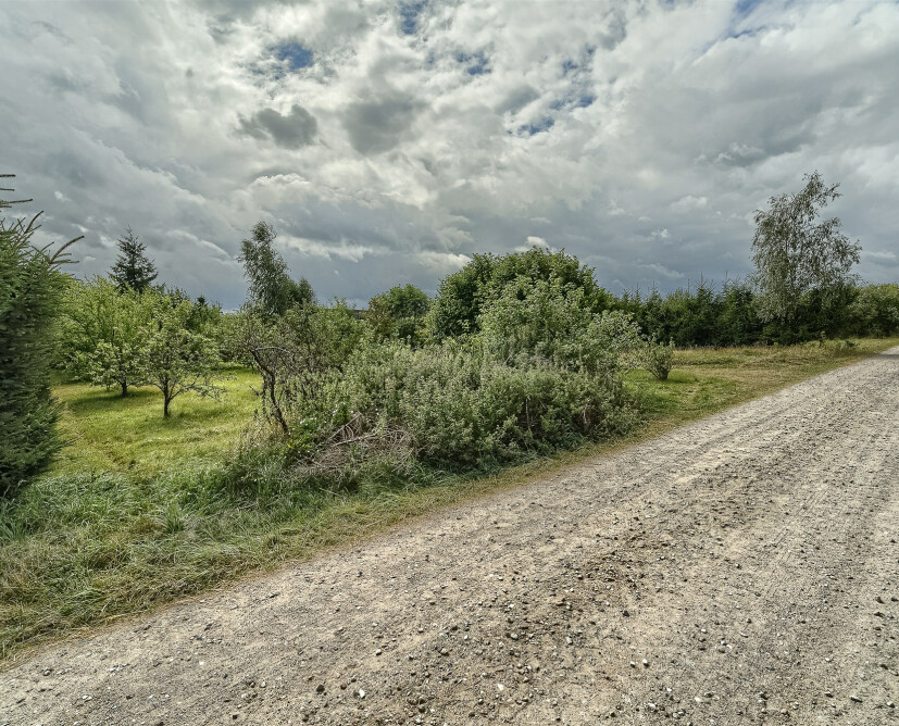 Dzialka - 5