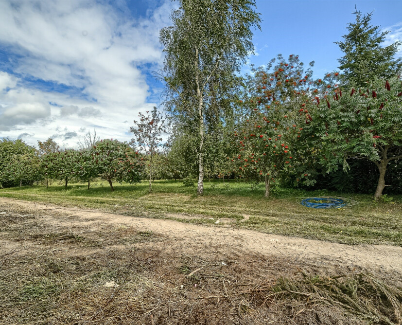 Dzialka - 7