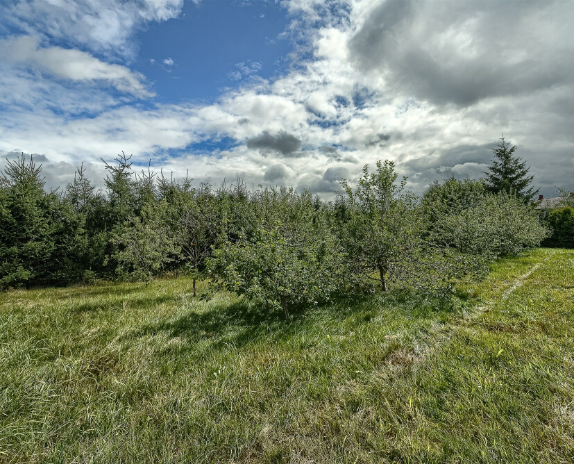 Dzialka - 8