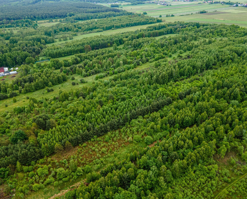 Nieruchomość komercyjna - kopalnia gliny na sprzedaż. - 13