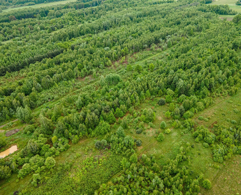 Nieruchomość komercyjna - kopalnia gliny na sprzedaż. - 17