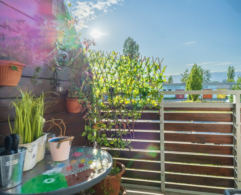 Przestronne mieszkanie 74 m² na Osiedlu Górnym w Pile – balkon, klimatyzacja, winda
Mieszkanie na sprzedaż 74 m² – Osiedle Górne, Piła, ul. Szybowników
Komfortowe mieszkanie 74 m² z balkonem i klimatyzacją – Piła Osiedle Górne
Na sprzedaż: jasne mieszkanie 74 m² z windą i piwnicą – Piła, Osiedle Górne
Mieszkanie 74 m² na Osiedlu Górnym w Pile – idealne dla rodziny - 5