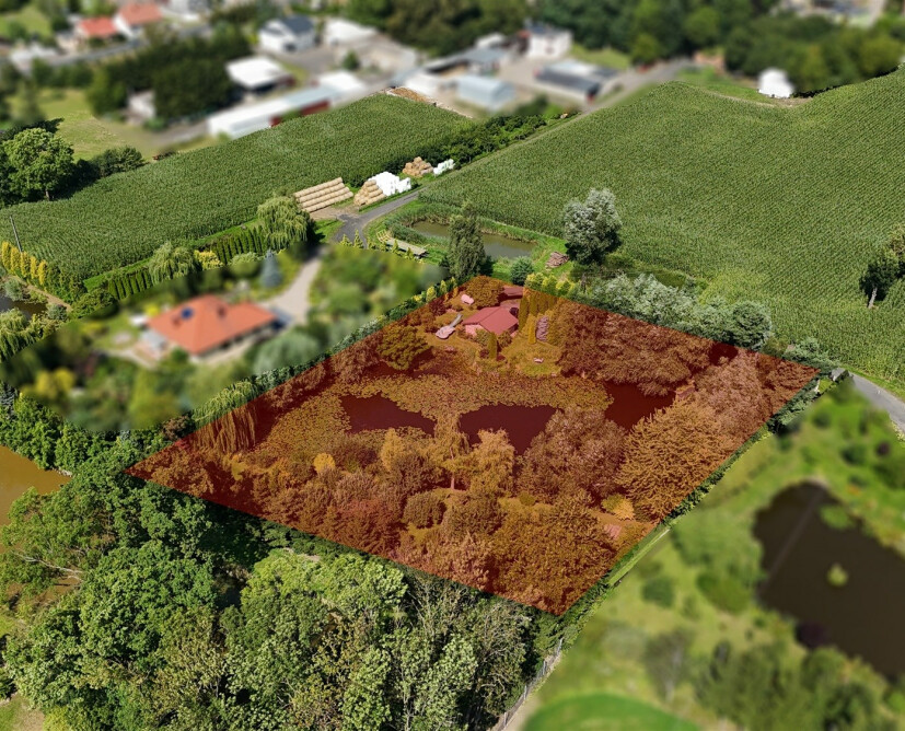 Na sprzedaż dom na wsi z dużym własnym zarybionym stawem otoczony zielenią - Czarnków, okolice - 24