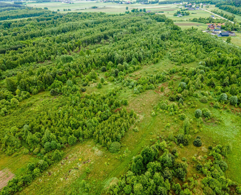Teren inwestycyjny na sprzedaż. Kopalnia gliny.  - 16