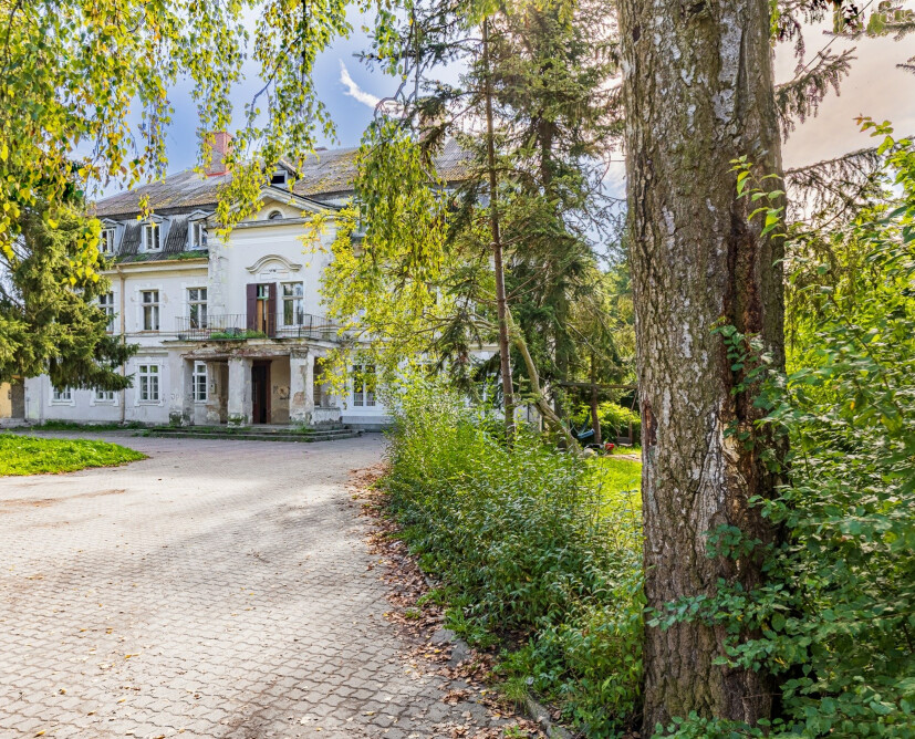 Zabytkowy pałac w Nowinach koło Dzierzgonia na sprzedaż. - 2