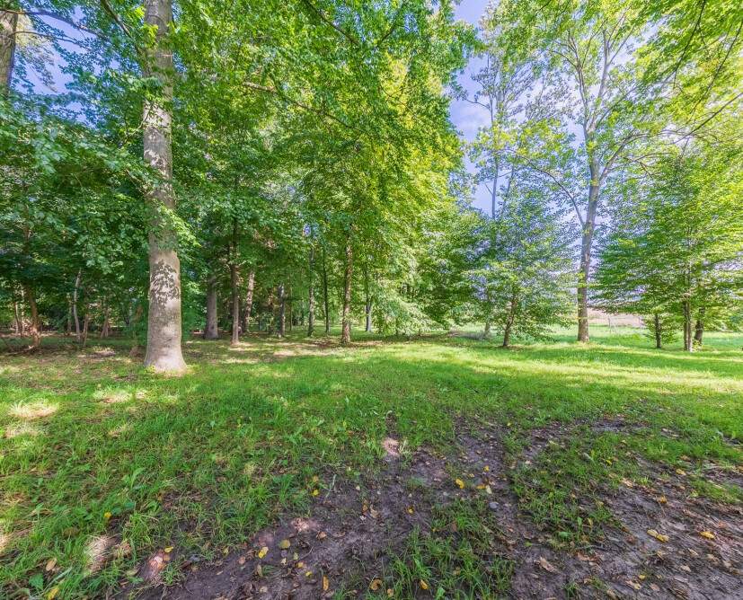 Zabytkowy pałac w Nowinach koło Dzierzgonia na sprzedaż. - 7