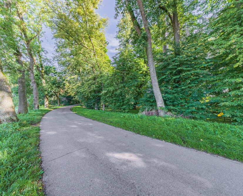 Zabytkowy pałac w Nowinach koło Dzierzgonia na sprzedaż. - 8