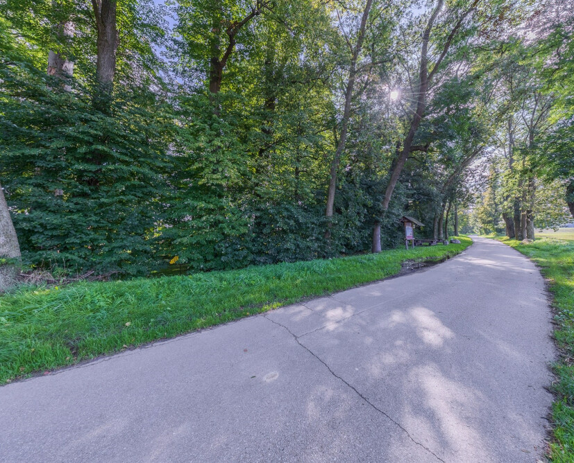 Zabytkowy pałac w Nowinach koło Dzierzgonia na sprzedaż. - 9