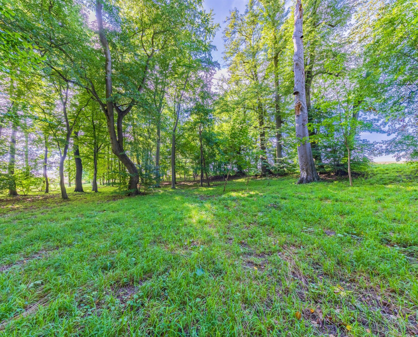 Zabytkowy pałac w Nowinach koło Dzierzgonia na sprzedaż. - 10