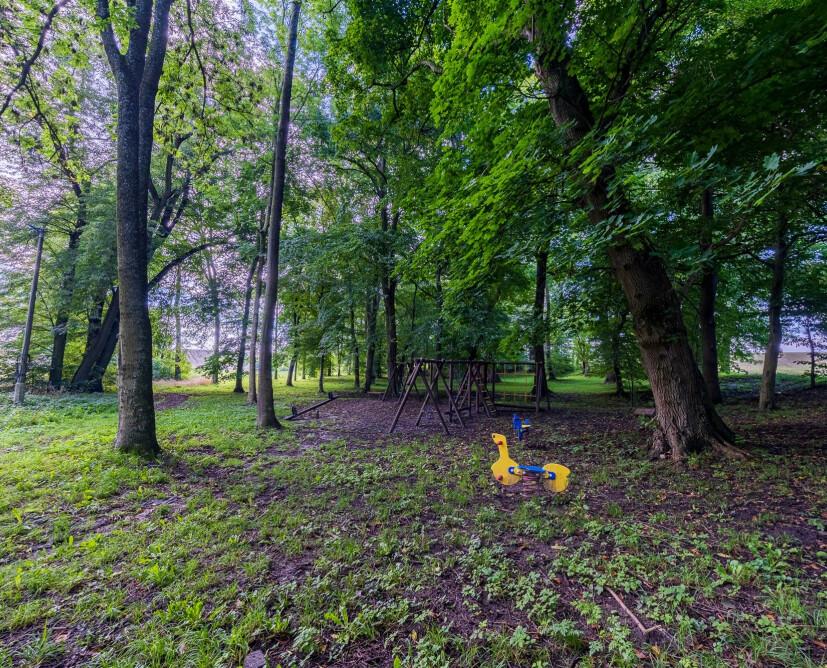 Zabytkowy pałac w Nowinach koło Dzierzgonia na sprzedaż. - 14