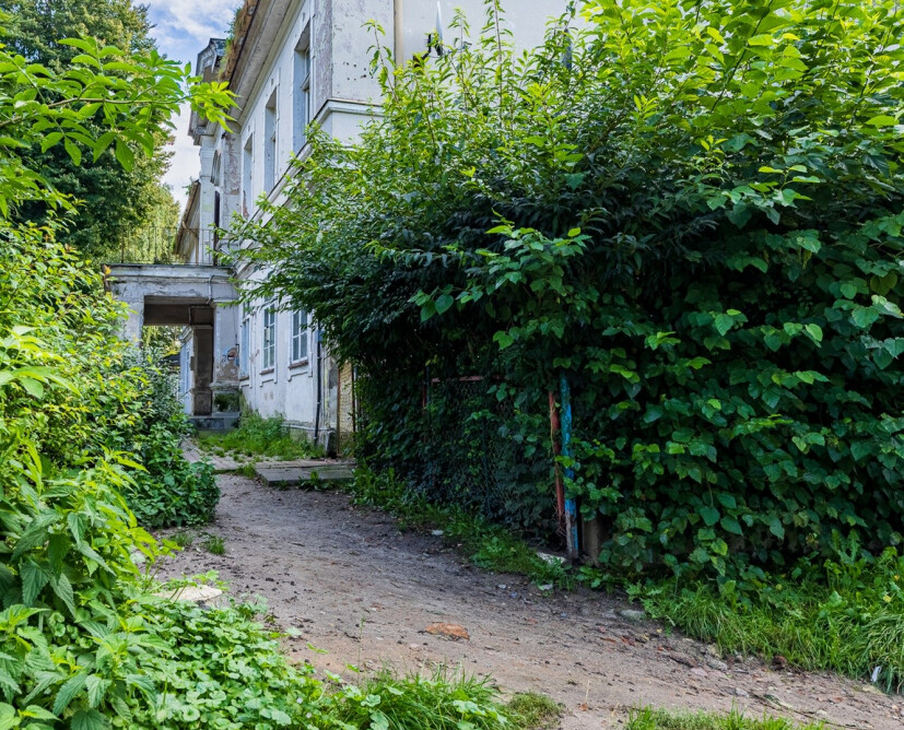 Zabytkowy pałac w Nowinach koło Dzierzgonia na sprzedaż. - 18