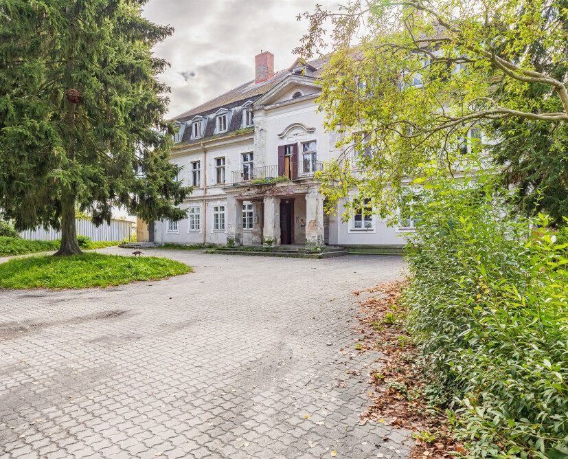 Zabytkowy pałac w Nowinach koło Dzierzgonia na sprzedaż. - 19