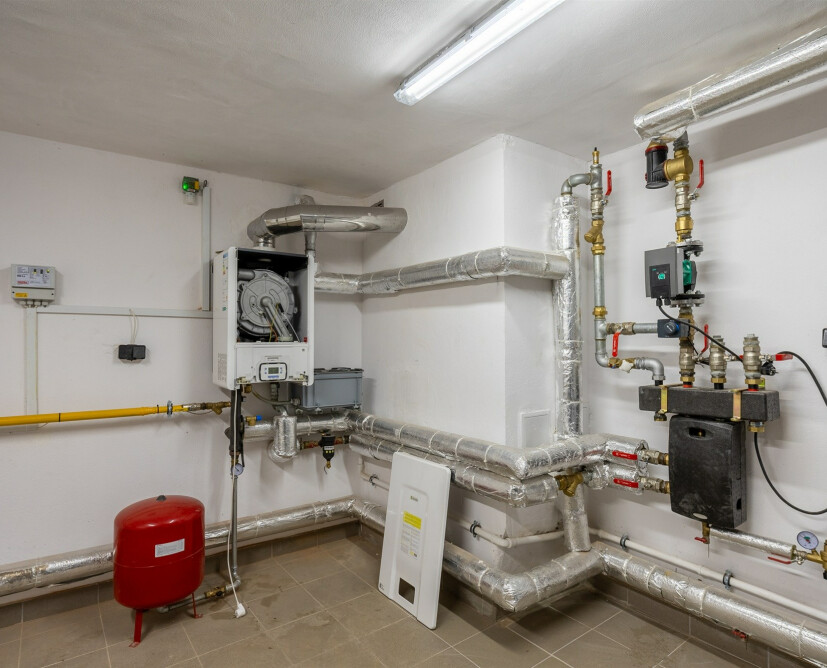 Zabytkowy pałac w Nowinach koło Dzierzgonia na sprzedaż. - 23