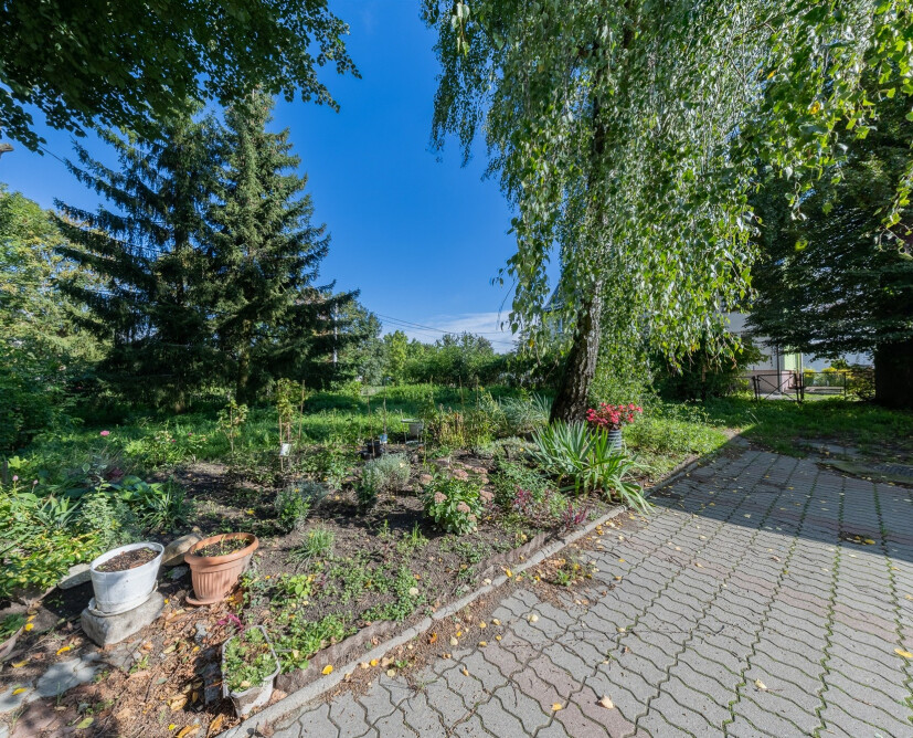 Zabytkowy pałac w Nowinach koło Dzierzgonia na sprzedaż. - 26