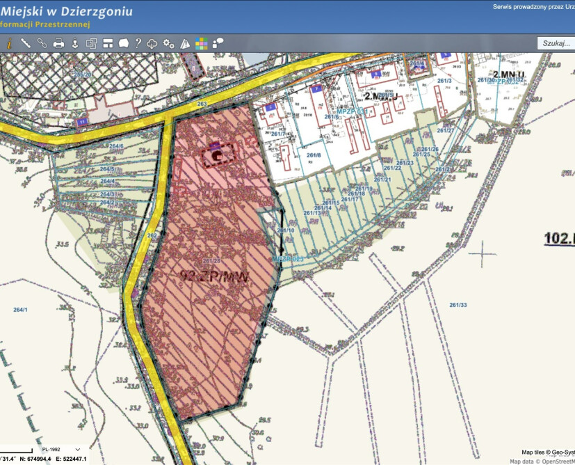Zabytkowy pałac w Nowinach koło Dzierzgonia na sprzedaż. - 30