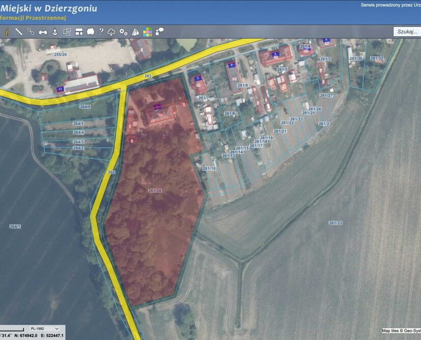 Zabytkowy pałac w Nowinach koło Dzierzgonia na sprzedaż. - 31
