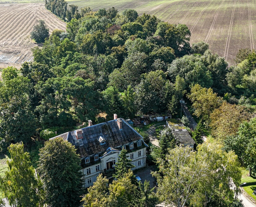 Zabytkowy pałac w Nowinach koło Dzierzgonia na sprzedaż. - 35