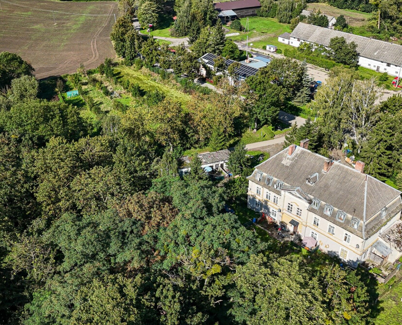 Zabytkowy pałac w Nowinach koło Dzierzgonia na sprzedaż. - 37