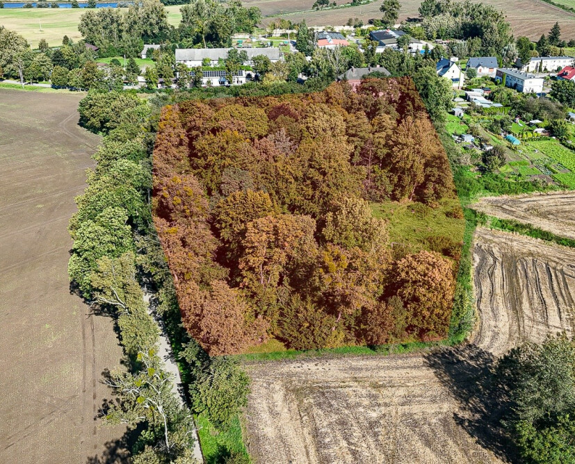 Zabytkowy pałac w Nowinach koło Dzierzgonia na sprzedaż. - 38