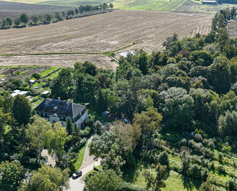 Zabytkowy pałac w Nowinach koło Dzierzgonia na sprzedaż. - 41
