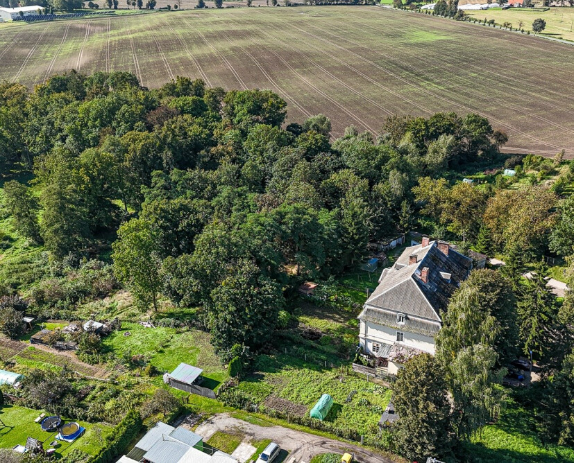 Zabytkowy pałac w Nowinach koło Dzierzgonia na sprzedaż. - 42