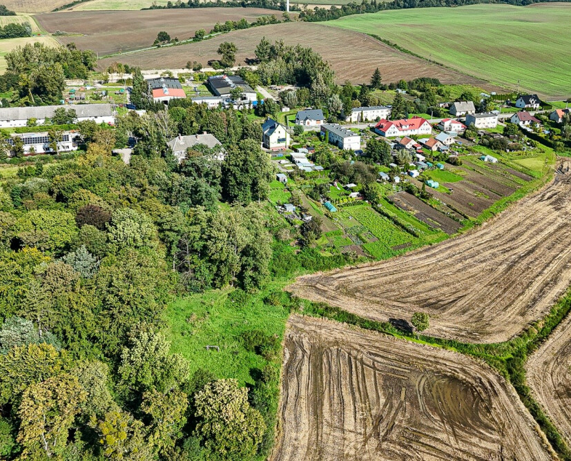 Zabytkowy pałac w Nowinach koło Dzierzgonia na sprzedaż. - 43