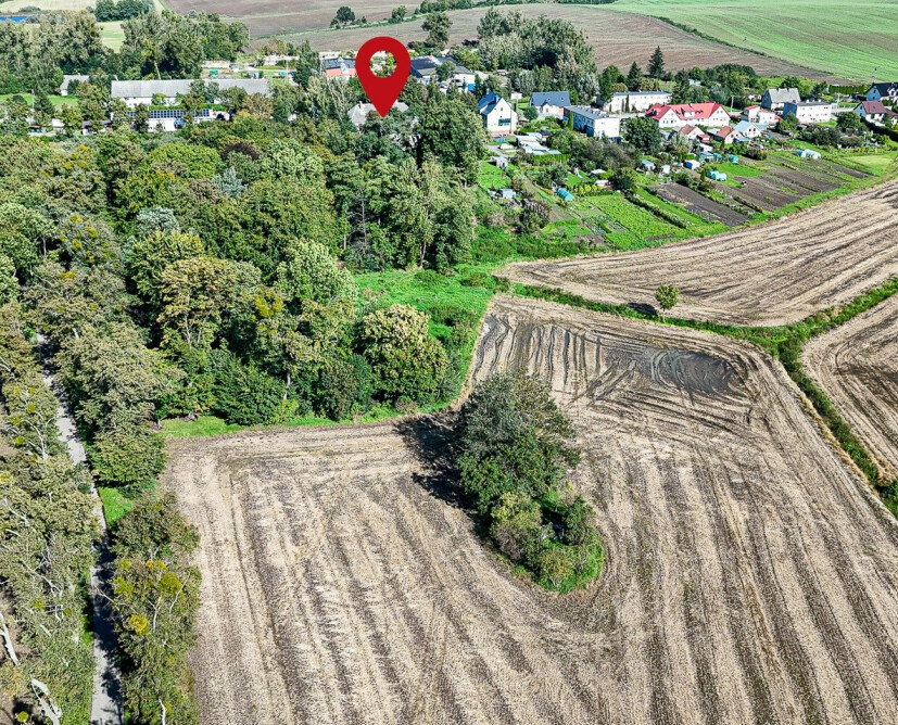 Zabytkowy pałac w Nowinach koło Dzierzgonia na sprzedaż. - 44