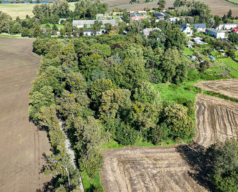 Zabytkowy pałac w Nowinach koło Dzierzgonia na sprzedaż. - 45