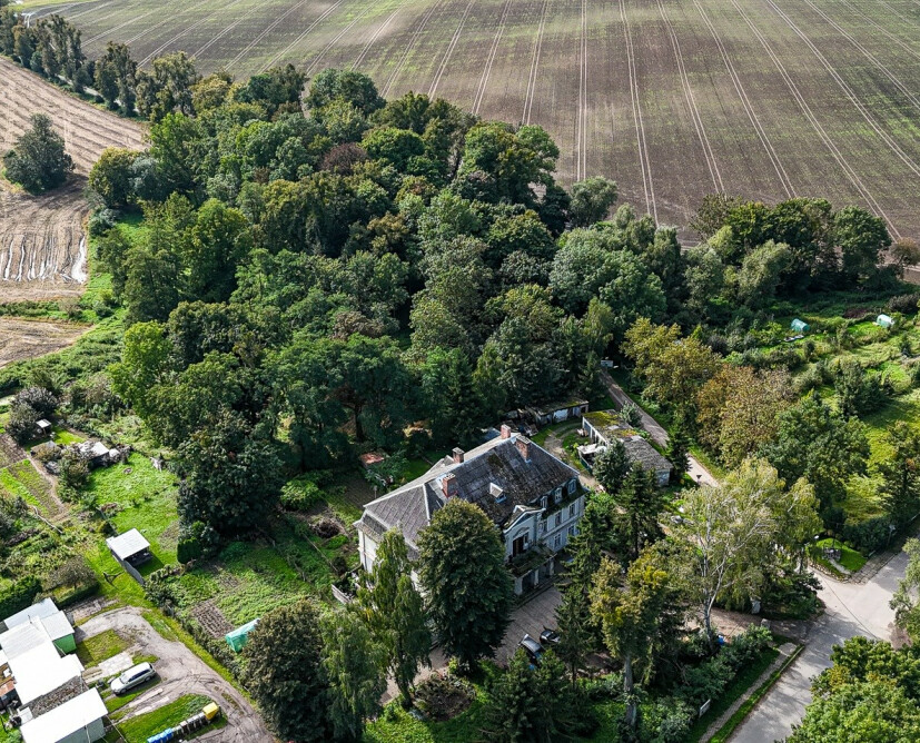 Zabytkowy pałac w Nowinach koło Dzierzgonia na sprzedaż. - 46
