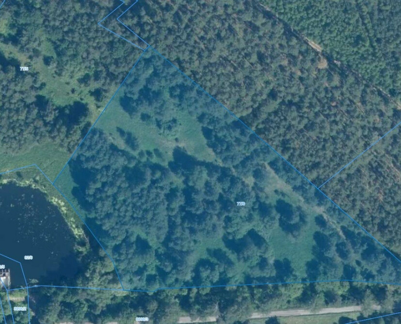 Działka siedliskowa nad rzeką Piławą – 1,6481 ha, Zabrodzie, gmina Szydłowo - 1