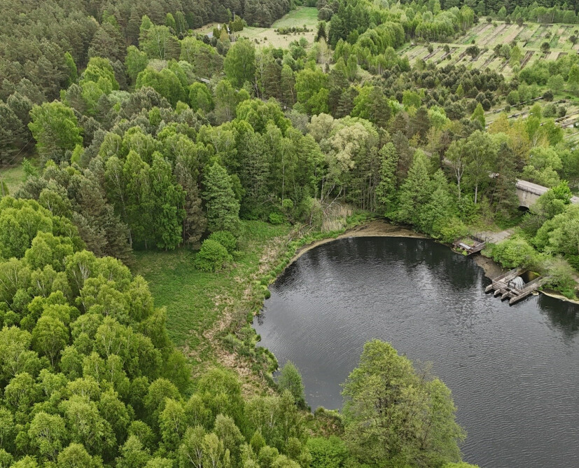 Dzialka - 10
