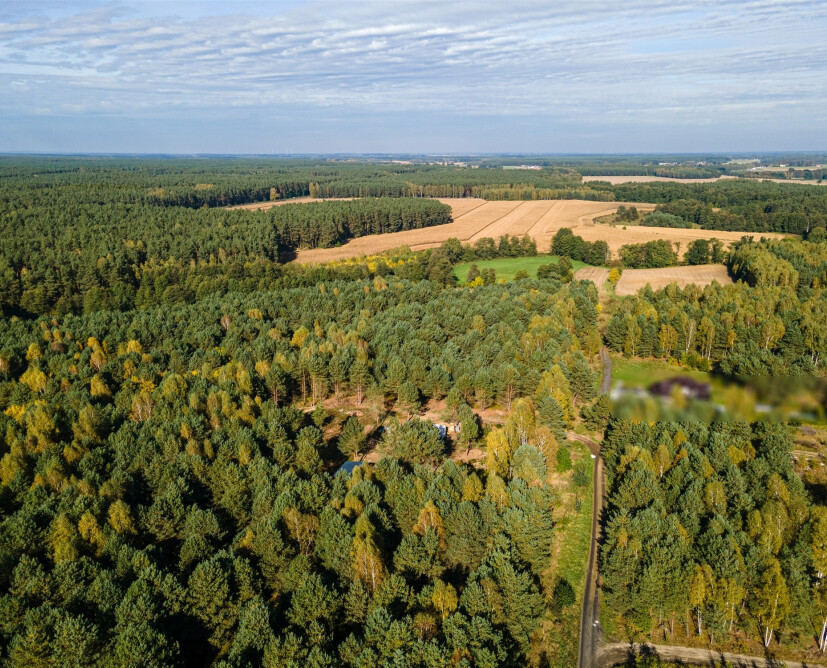 Działka budowlana Skórka 1308 m² – przy lesie, 15 min od Piły | MPZP - 6