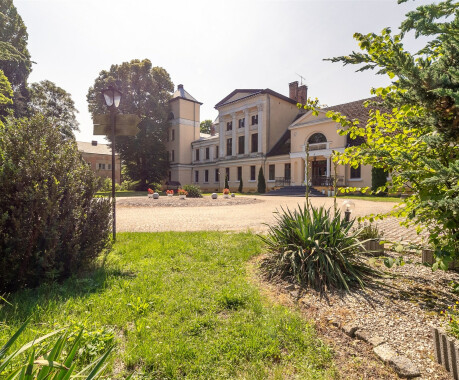 Pałac Jabłonowo na sprzedaż. Obiekt hotelowo - restauracyjny ze stawami. - 4