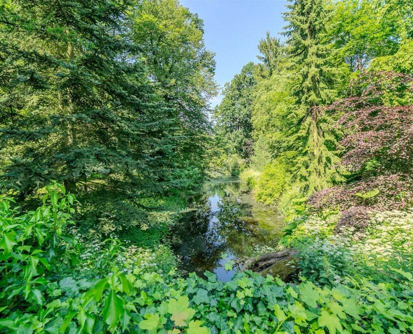 Pałac Jabłonowo na sprzedaż. Obiekt hotelowo - restauracyjny ze stawami. - 36