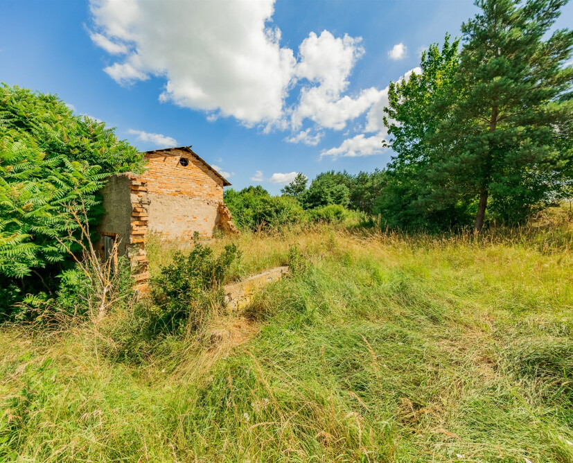Dzialka - 5