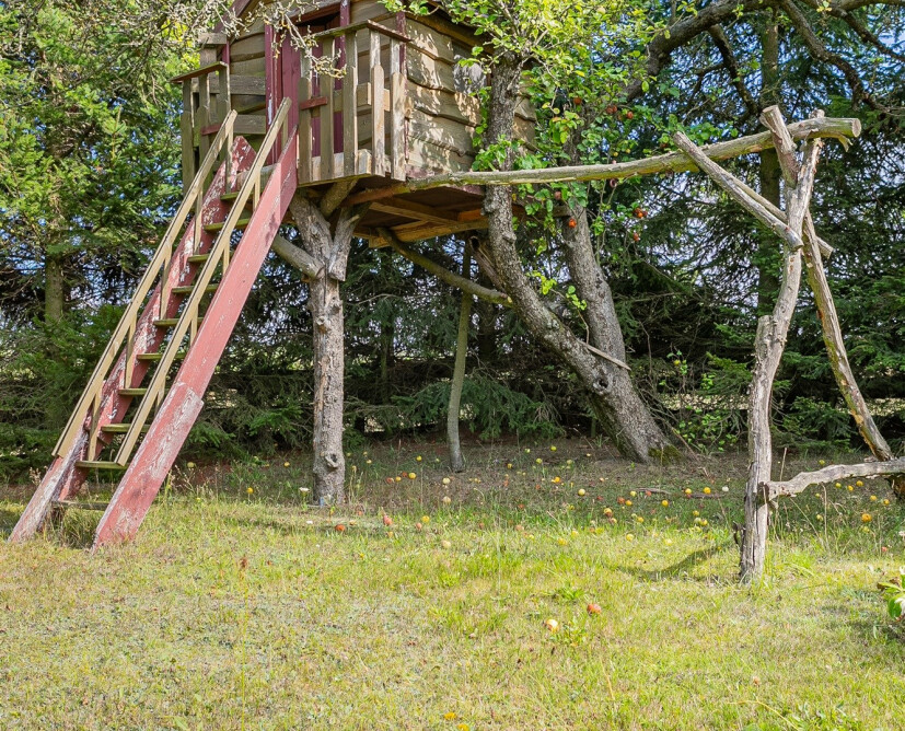 Klimatyczny dom z dużą działką na sprzedaż | Stare, gm. Wysoka - 19