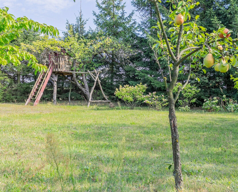 Klimatyczny dom z dużą działką na sprzedaż | Stare, gm. Wysoka - 20