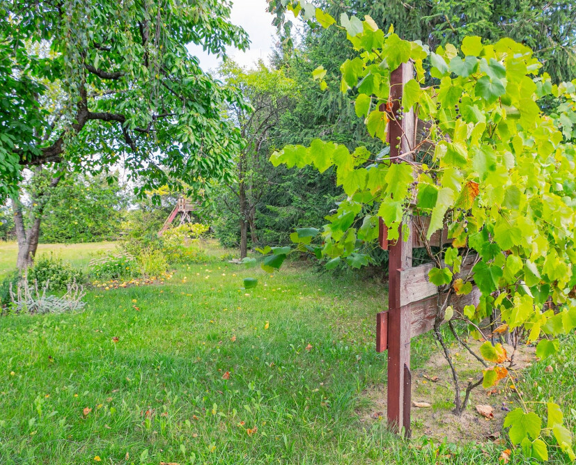 Klimatyczny dom z dużą działką na sprzedaż | Stare, gm. Wysoka - 22