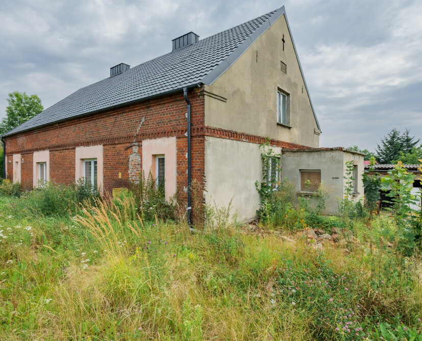 Dom - 12