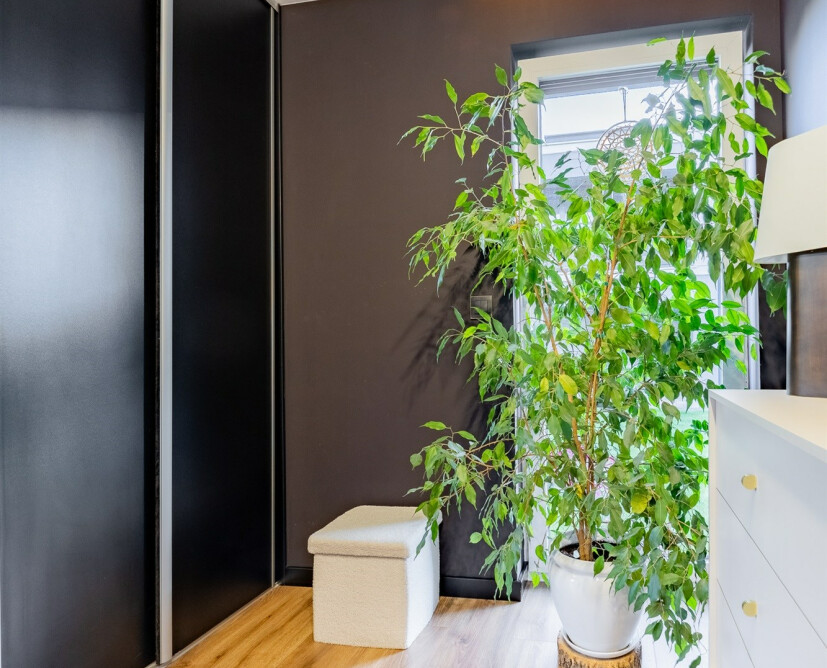 Apartament z ogrodem i garażem | Zielona Dolina Piła - 23