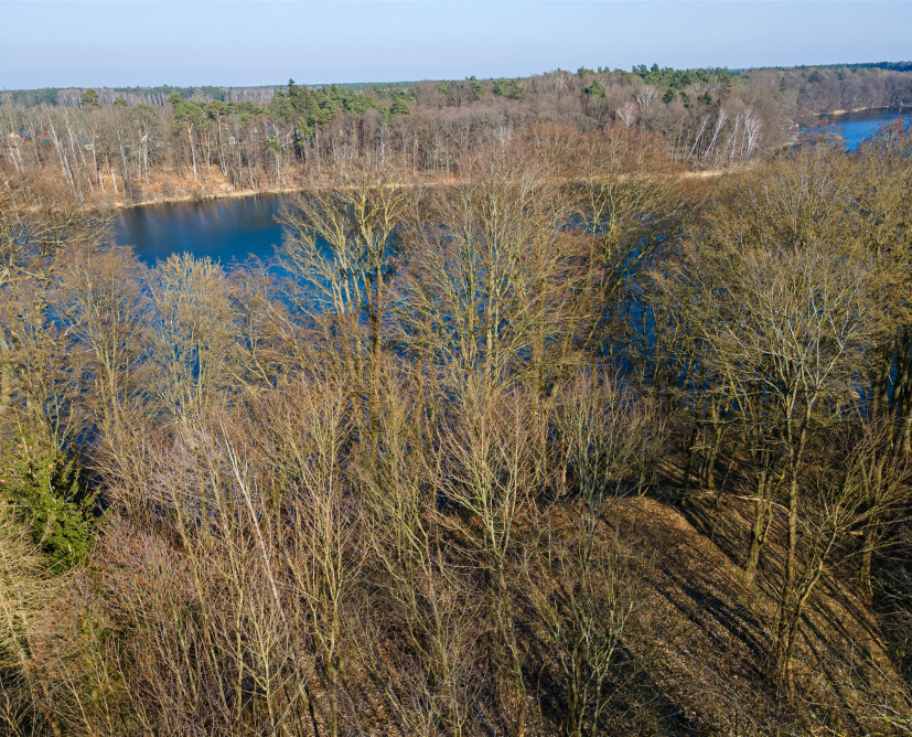 Dzialka - 10