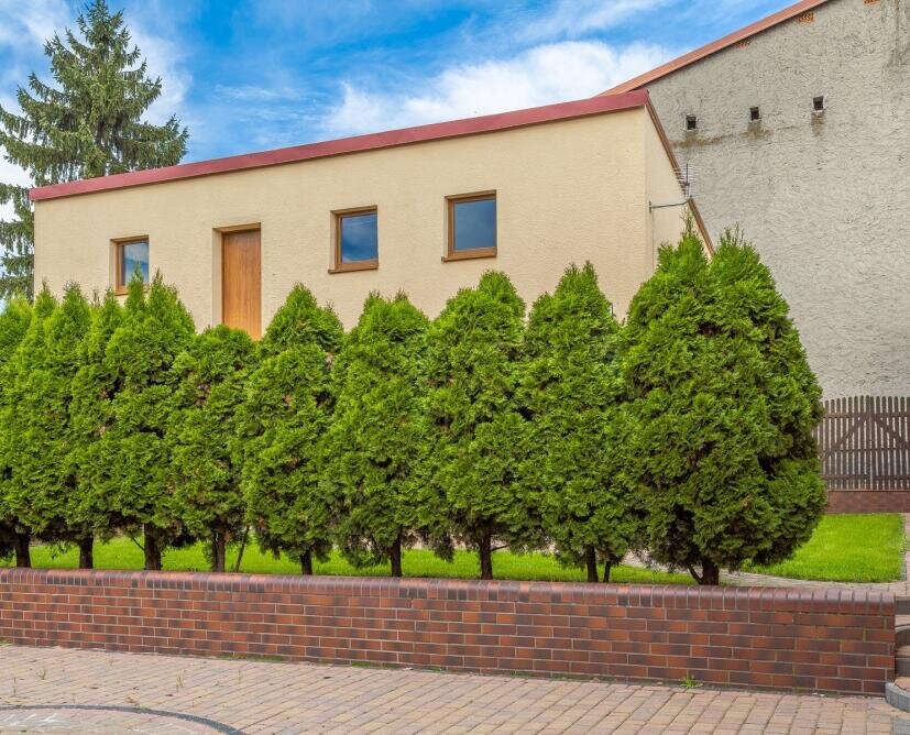 Dom wolnostojący z garażem 100 m² Białośliwie - 38