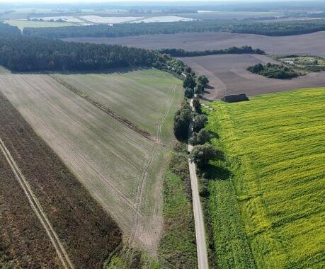 działka budowlana na sprzedaż w Szydłowie - 4