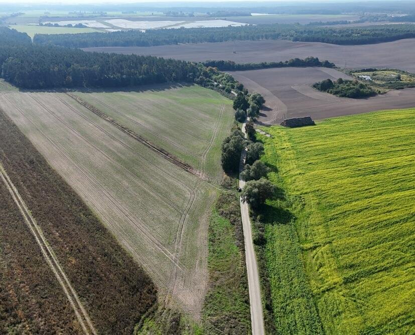 działka budowlana na sprzedaż w Szydłowie - 4