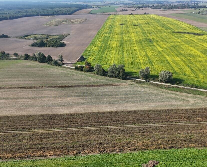 działka budowlana na sprzedaż, działka na sprzedaż w Szydłowie - 6
