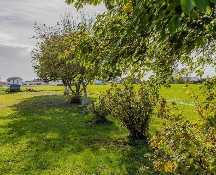 Mieszkanie na sprzedaż Przybychowo | Balkon, ogród 805 m², garaż - 12