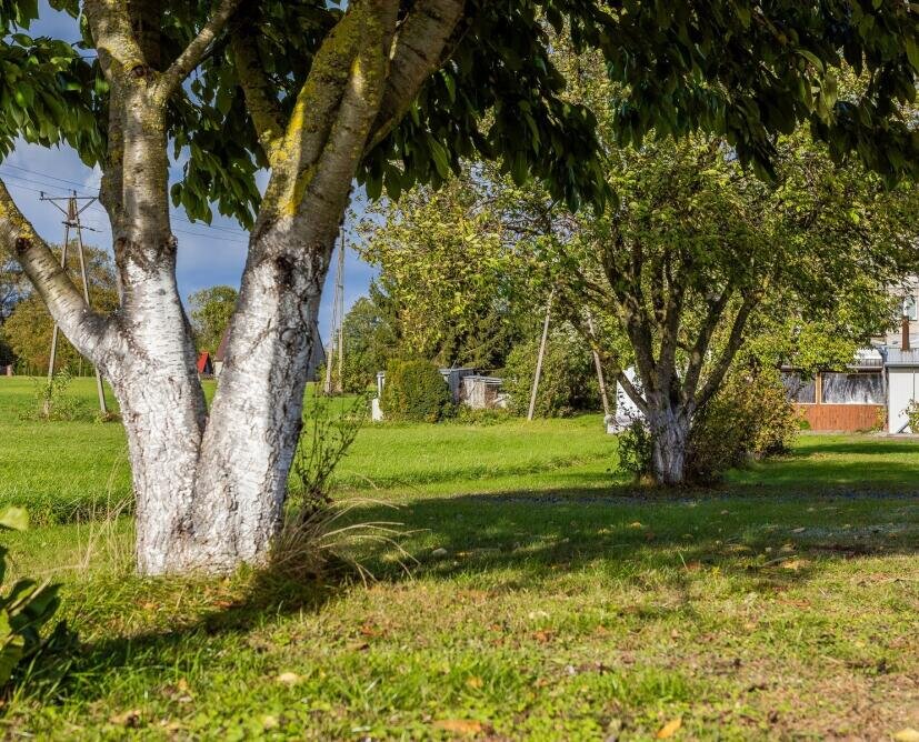 Mieszkanie na sprzedaż Przybychowo | Balkon, ogród 805 m², garaż - 13