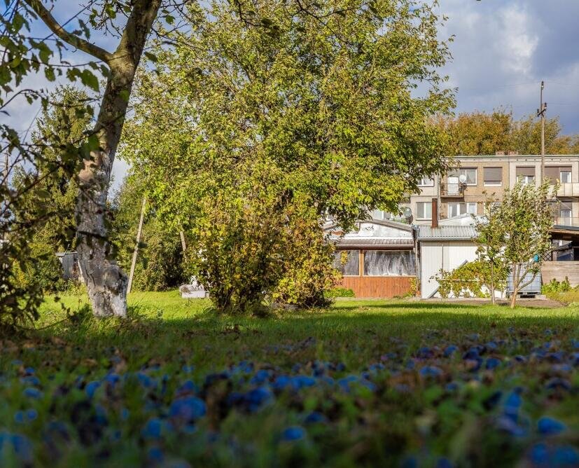 Mieszkanie na sprzedaż Przybychowo | Balkon, ogród 805 m², garaż - 15